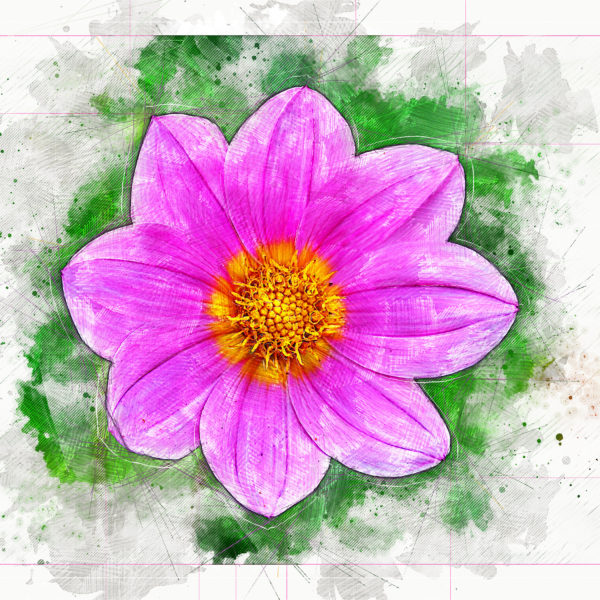 Drawing Flowers With Pencil Colour. | PeakD