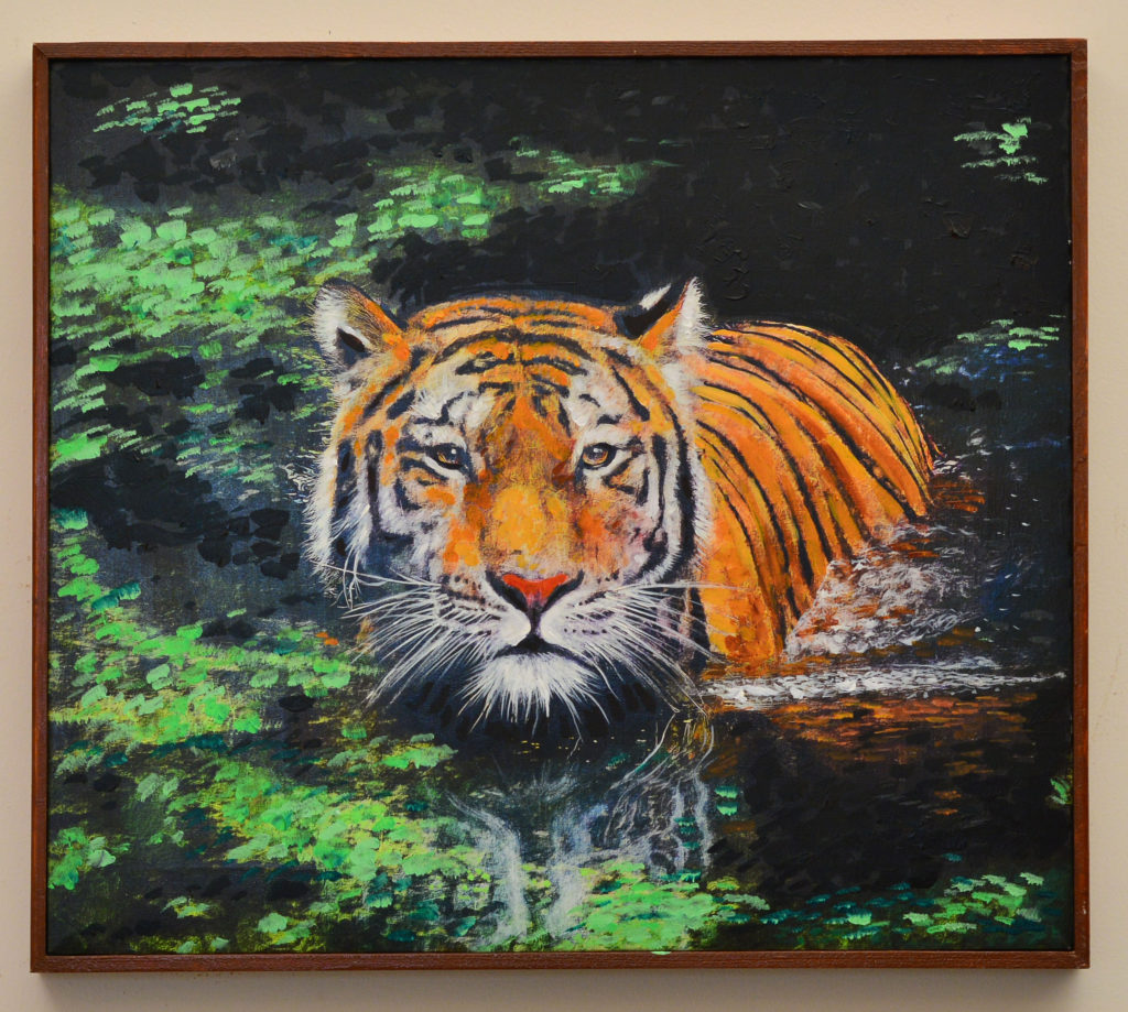 tiger in the pond