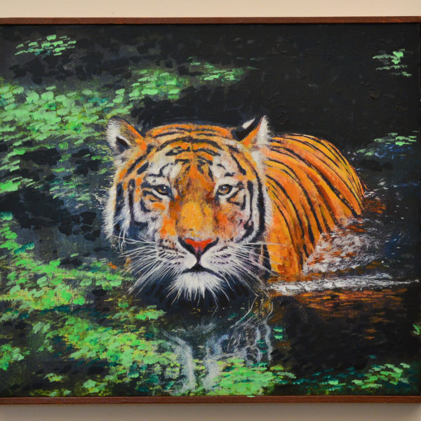 tiger in the pond