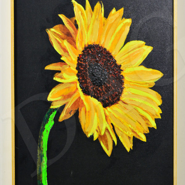 sun flower with gold outline