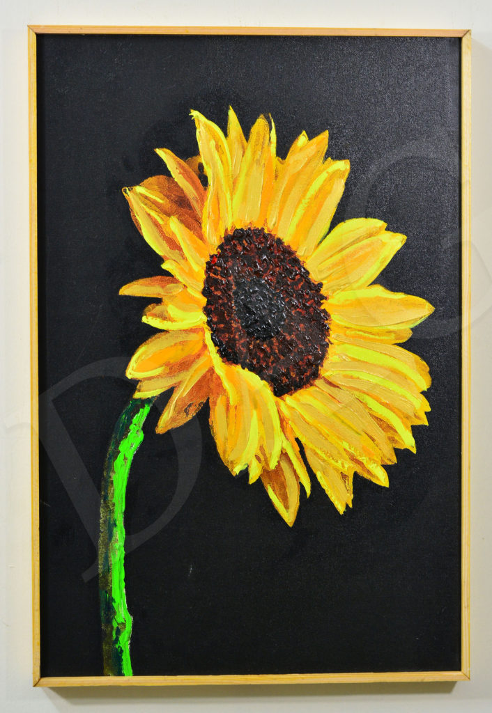 sun flower with gold outline