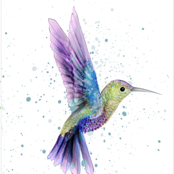 colibri