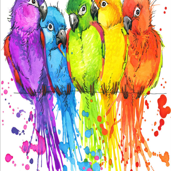 parrots