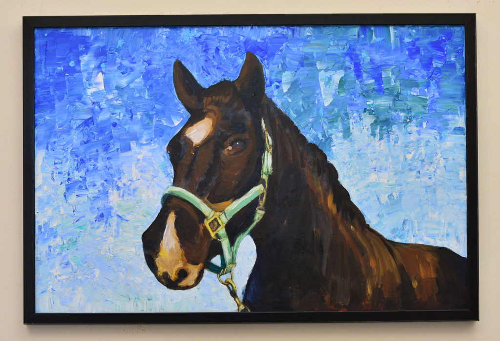 Horse in the outdoor in black fibre frame