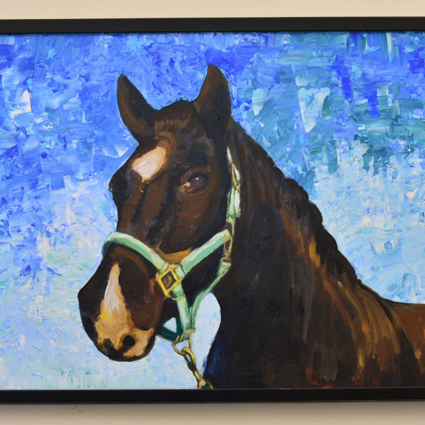 Horse in the outdoor in black fibre frame